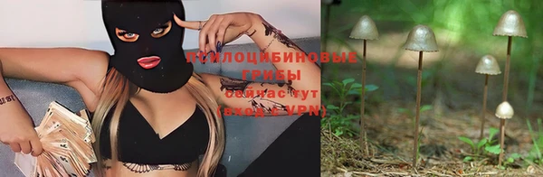 марки nbome Белая Холуница