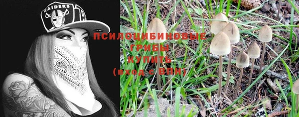 кристаллы Мегион