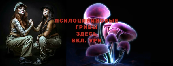 экстази Медвежьегорск