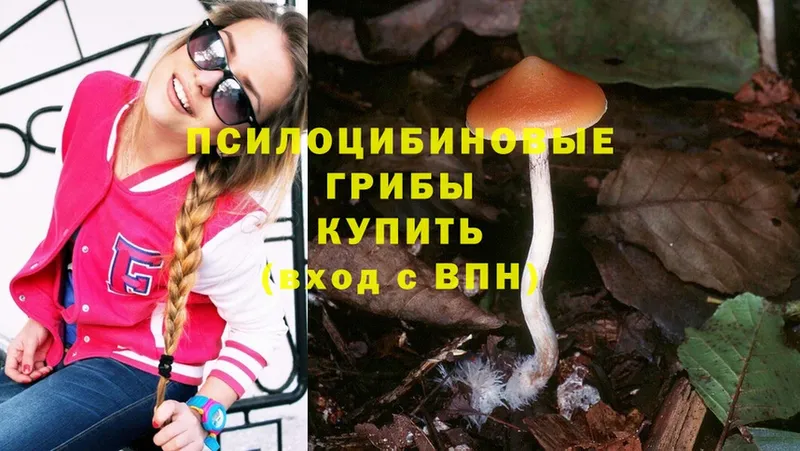 Галлюциногенные грибы Cubensis  Мосальск 